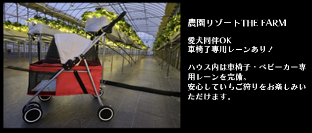 農園リゾートTHE FARM